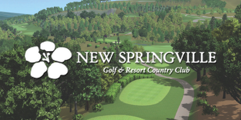 New Springville